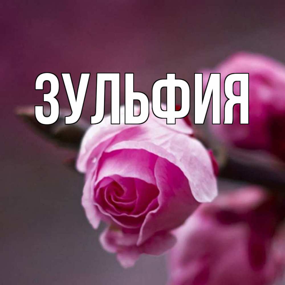 Доброе утро открытки с женским именем зульфия на азербайджанском языке, казани