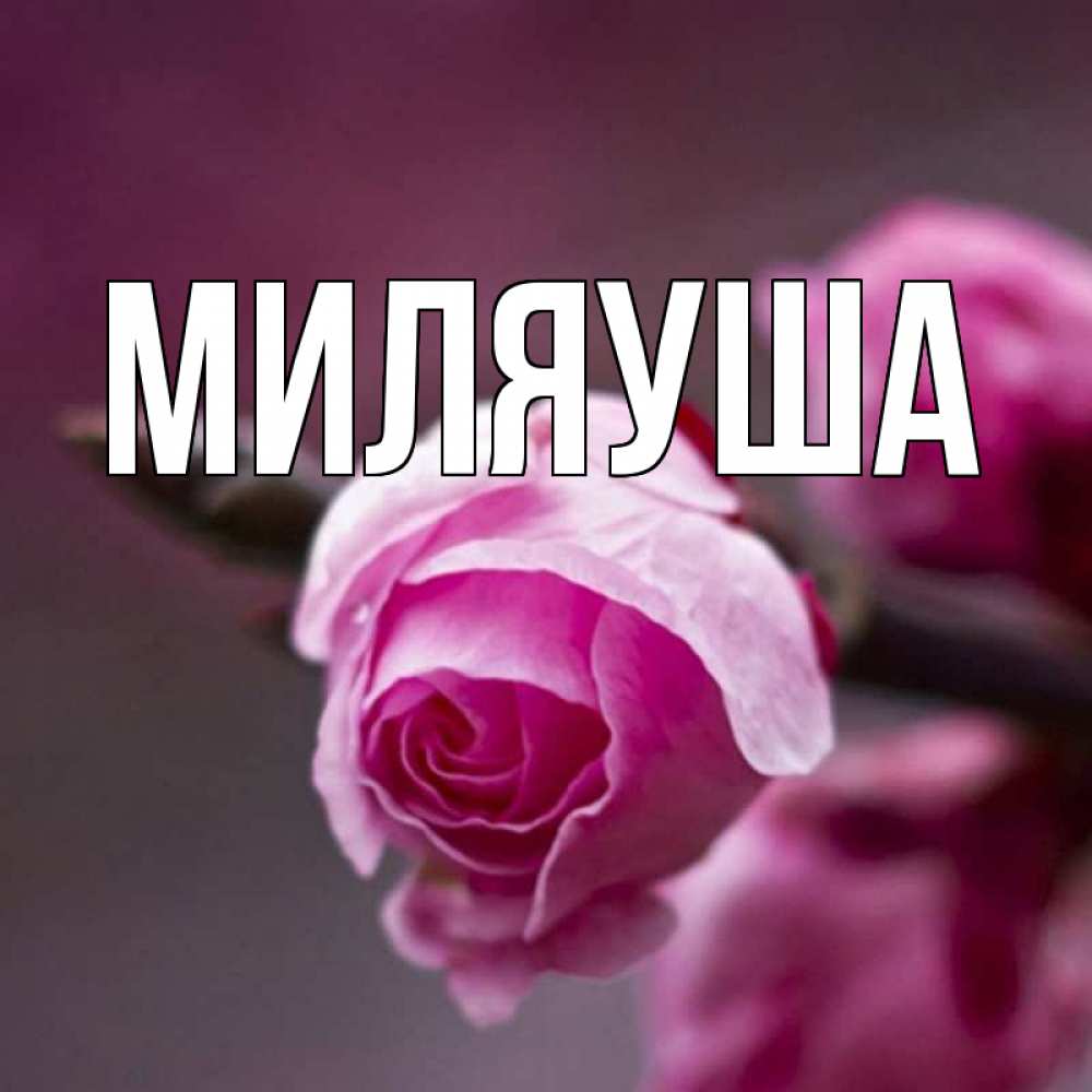 Миляуша с днем рождения картинки миляуша