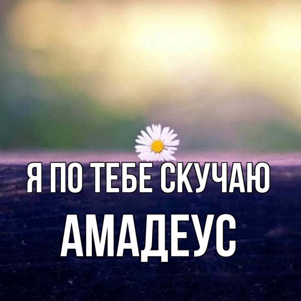 Открытка на каждый день с именем, Амадеус Я по тебе скучаю приходи в гости Прикольная открытка с пожеланием онлайн скачать бесплатно 