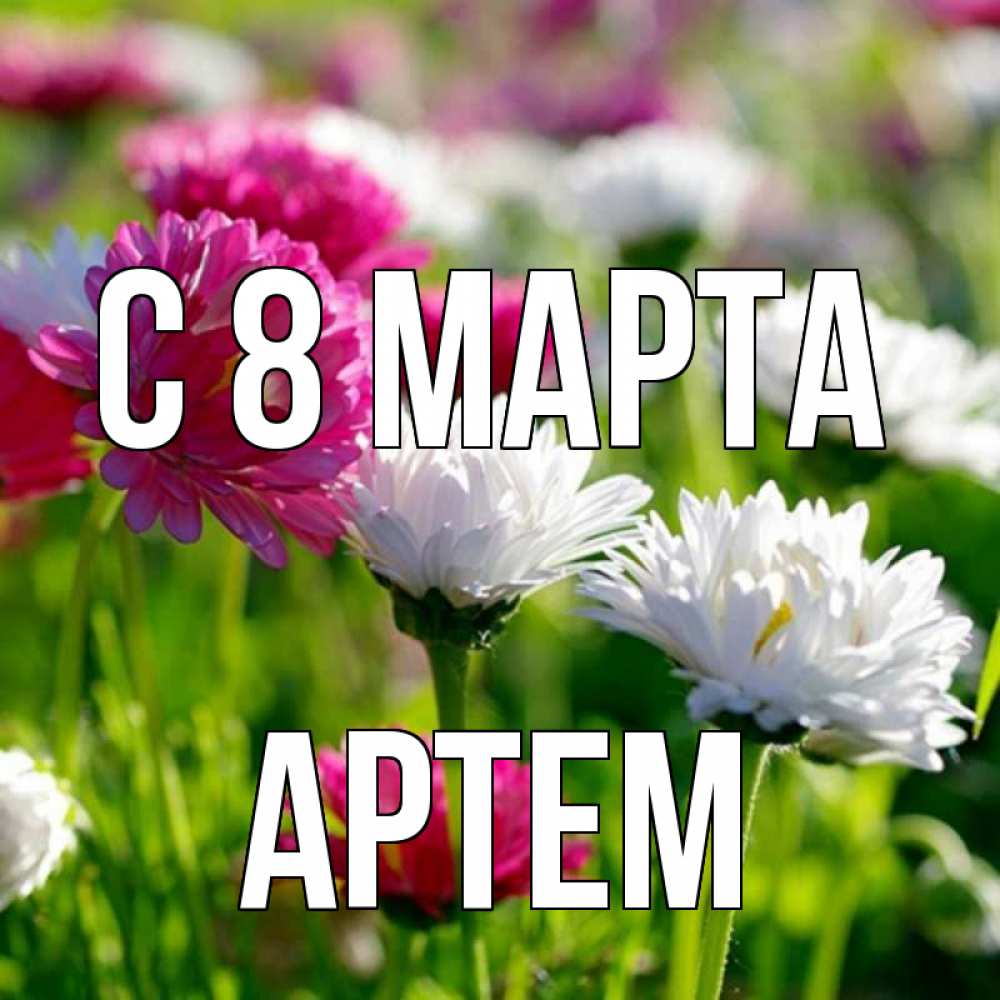 Открытка на каждый день с именем, Артем С 8 МАРТА международный женский день 1 Прикольная открытка с пожеланием онлайн скачать бесплатно 