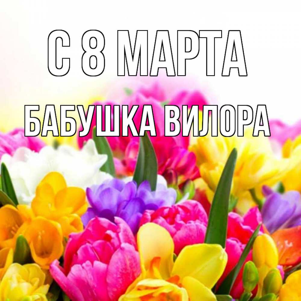 Открытка на каждый день с именем, Бабушка-Вилора С 8 МАРТА тюльпаны Прикольная открытка с пожеланием онлайн скачать бесплатно 