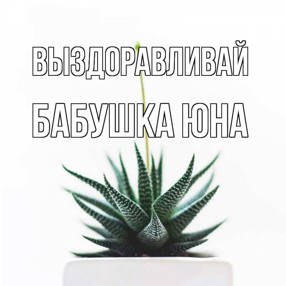 Открытка на каждый день с именем, Бабушка-Юна Выздоравливай короче это непонятная колючка Прикольная открытка с пожеланием онлайн скачать бесплатно 