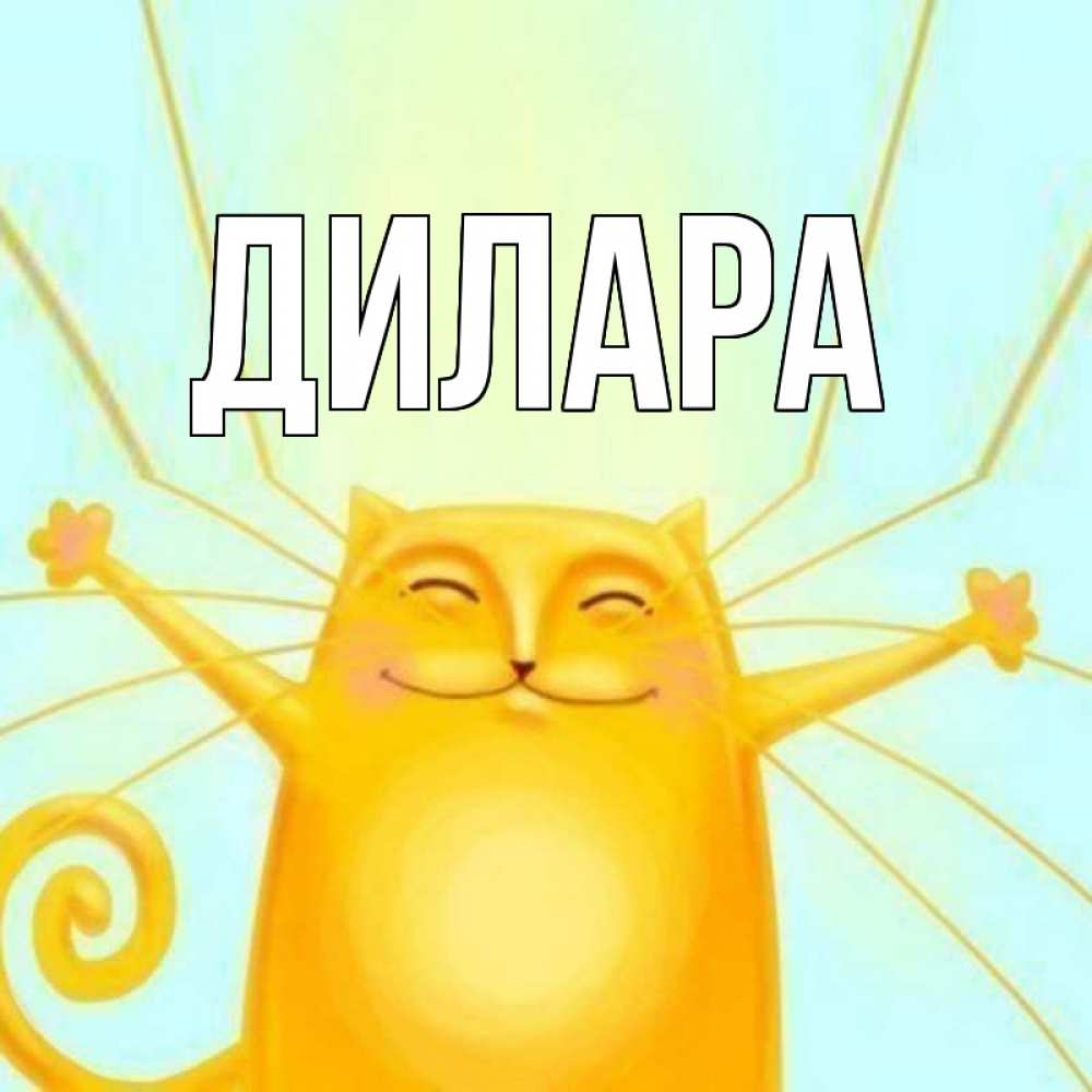 Открытка на каждый день с именем, Дилара Главная солнечный обнимашечный кот Прикольная открытка с пожеланием онлайн скачать бесплатно 