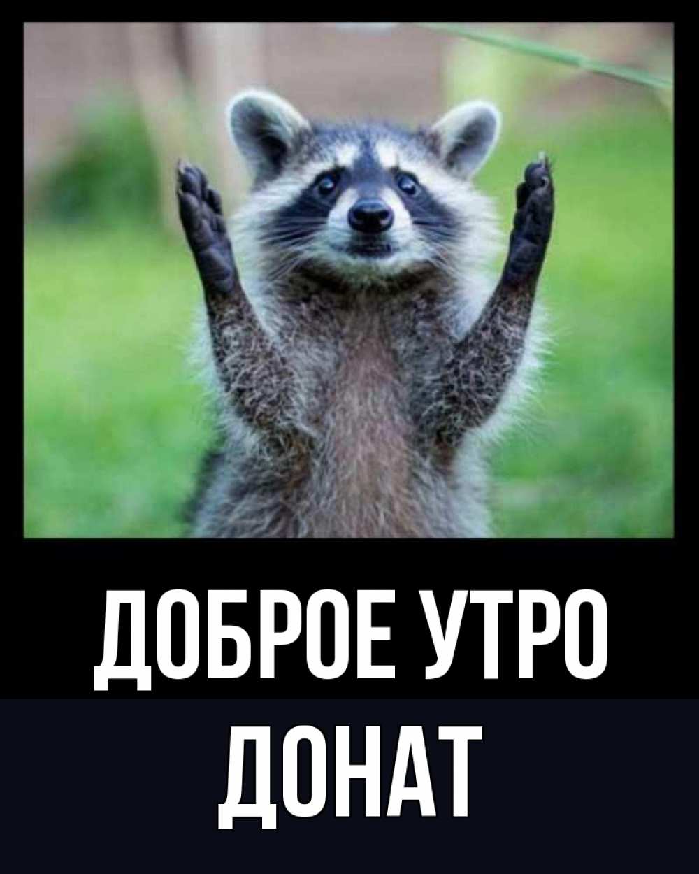 Открытка на каждый день с именем, Донат Доброе утро хорошее настроение утречком Прикольная открытка с пожеланием онлайн скачать бесплатно 