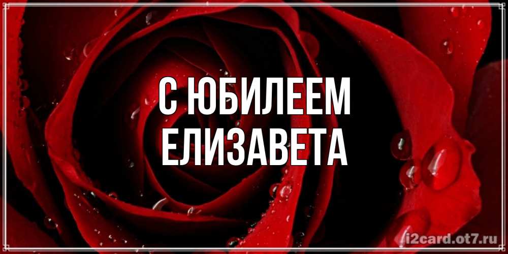 Открытка на каждый день с именем, Елизавета С юбилеем крупная бордовая роза Прикольная открытка с пожеланием онлайн скачать бесплатно 