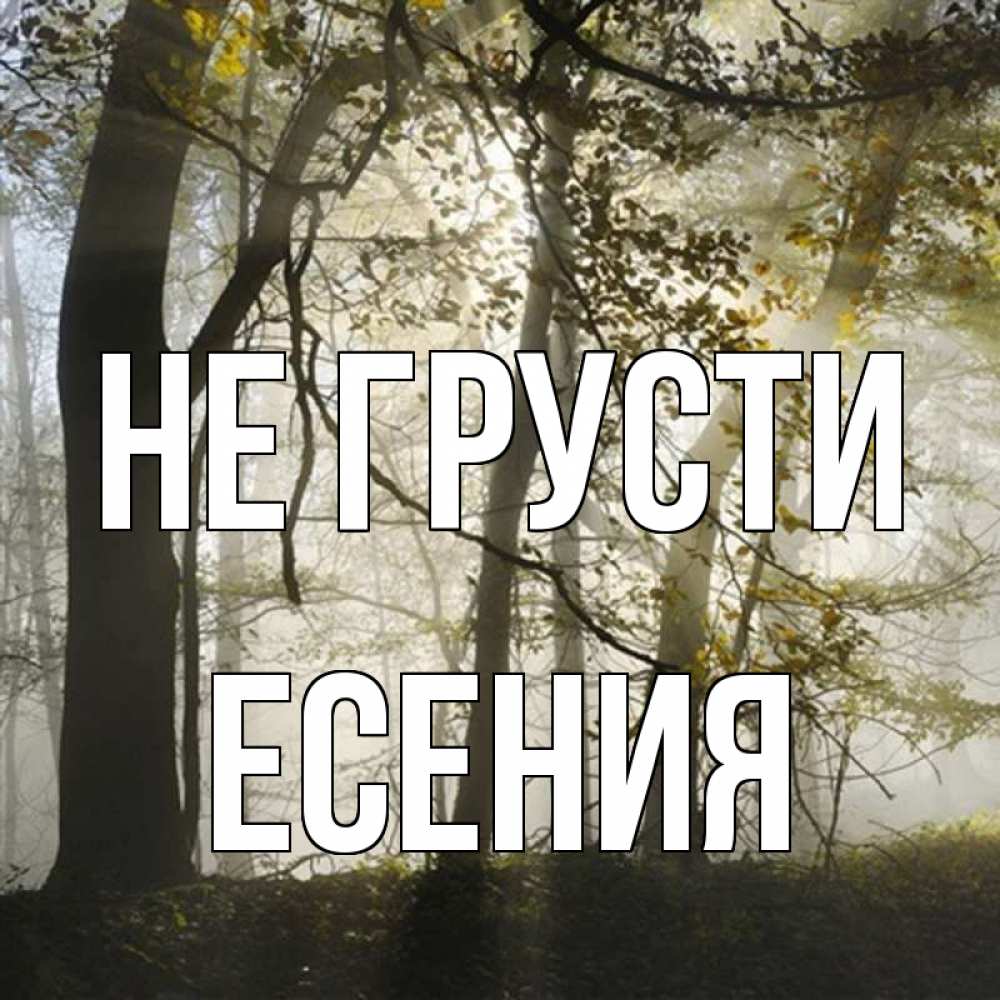 Открытка на каждый день с именем, Есения Не грусти лес и свет Прикольная открытка с пожеланием онлайн скачать бесплатно 