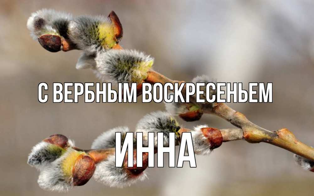 Открытка на каждый день с именем, Инна С вербным воскресеньем Верба Прикольная открытка с пожеланием онлайн скачать бесплатно 