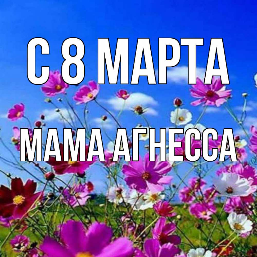 Открытка на каждый день с именем, Мама-Агнесса С 8 МАРТА цветы Прикольная открытка с пожеланием онлайн скачать бесплатно 