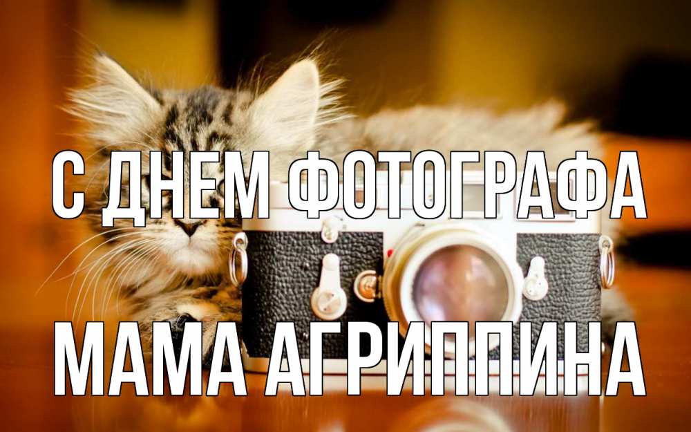 Открытка на каждый день с именем, Мама-Агриппина С днем фотографа с днем фотографа Прикольная открытка с пожеланием онлайн скачать бесплатно 
