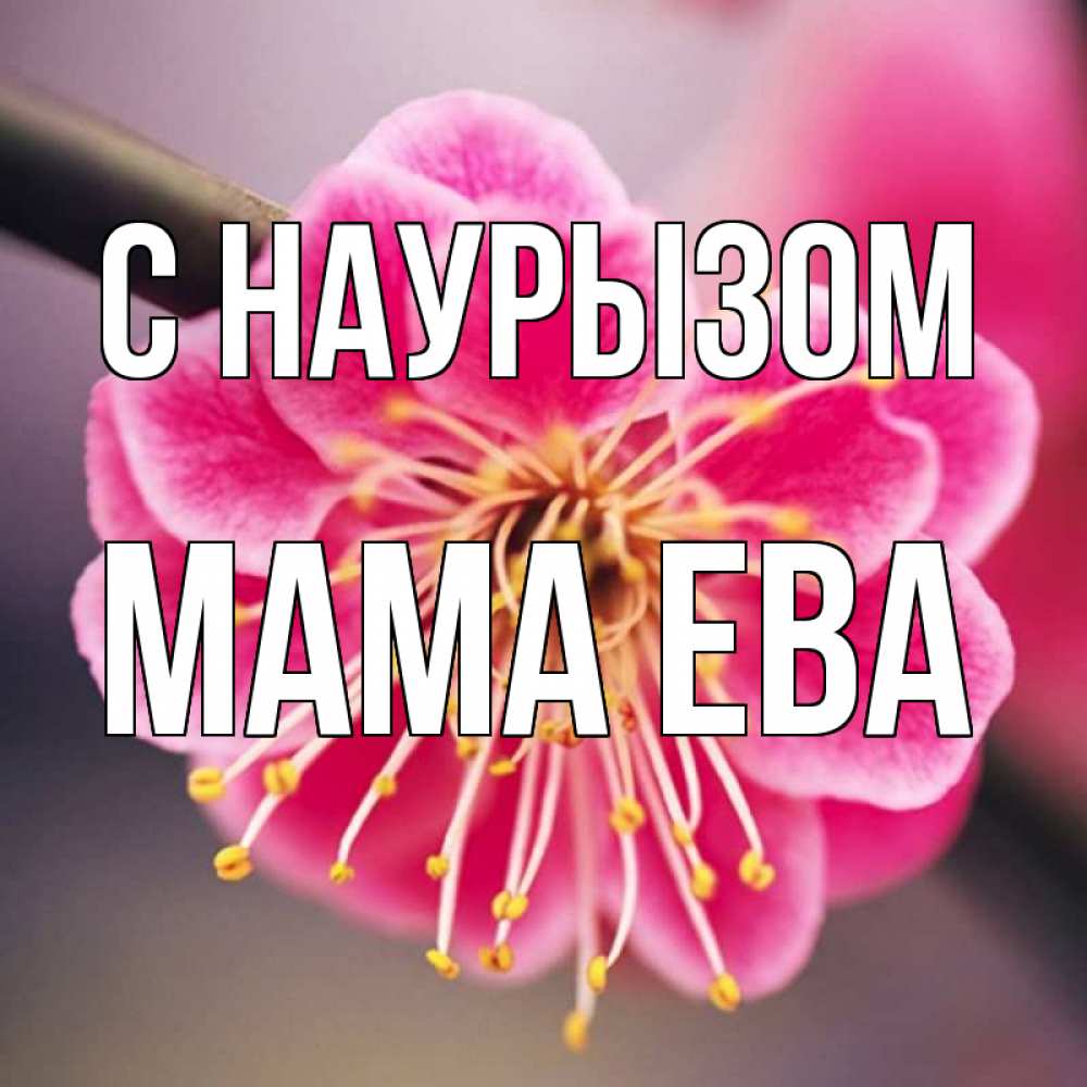 Открытка на каждый день с именем, Мама-Ева С наурызом цветы Прикольная открытка с пожеланием онлайн скачать бесплатно 