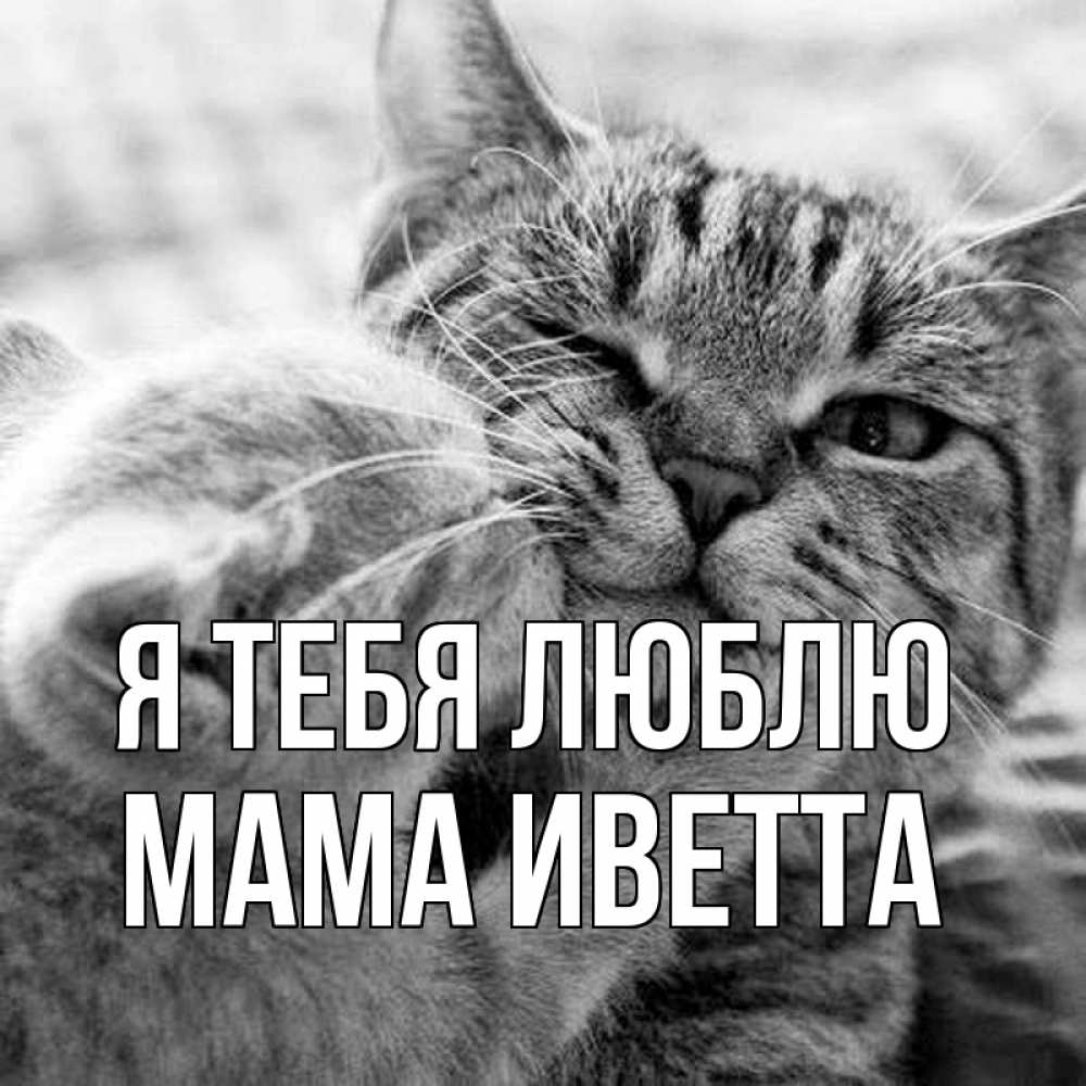 Открытка на каждый день с именем, Мама-Иветта Я тебя люблю коты Прикольная открытка с пожеланием онлайн скачать бесплатно 