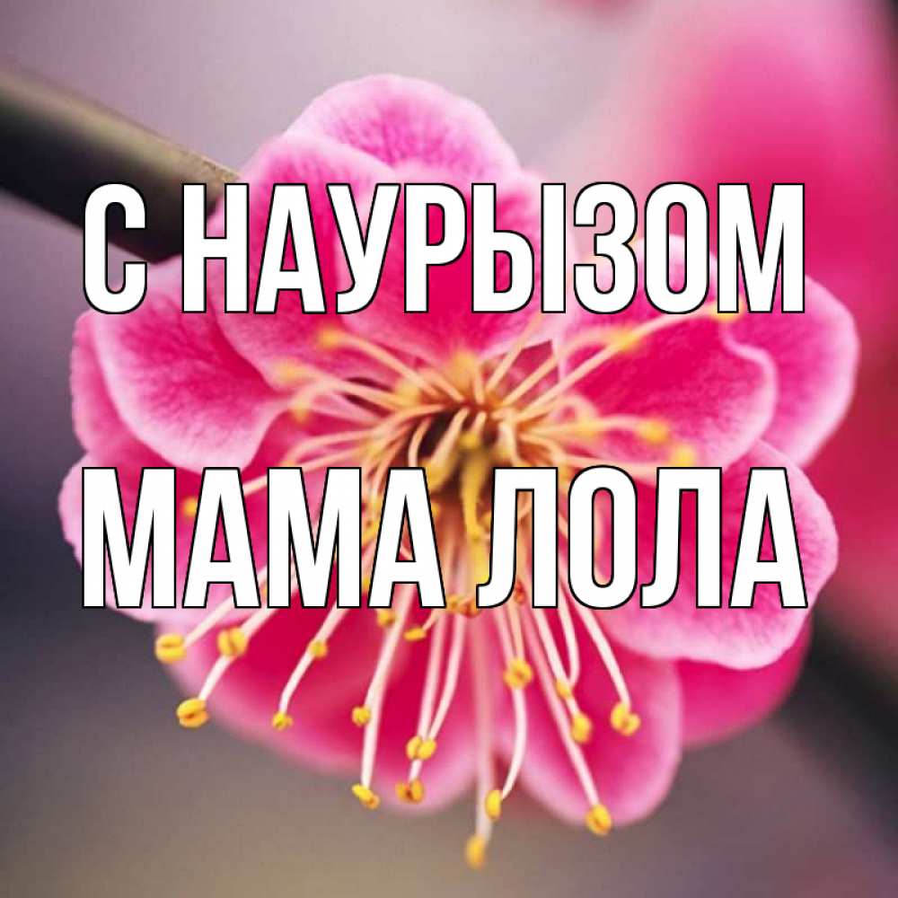 Открытка на каждый день с именем, Мама-Лола С наурызом цветы Прикольная открытка с пожеланием онлайн скачать бесплатно 