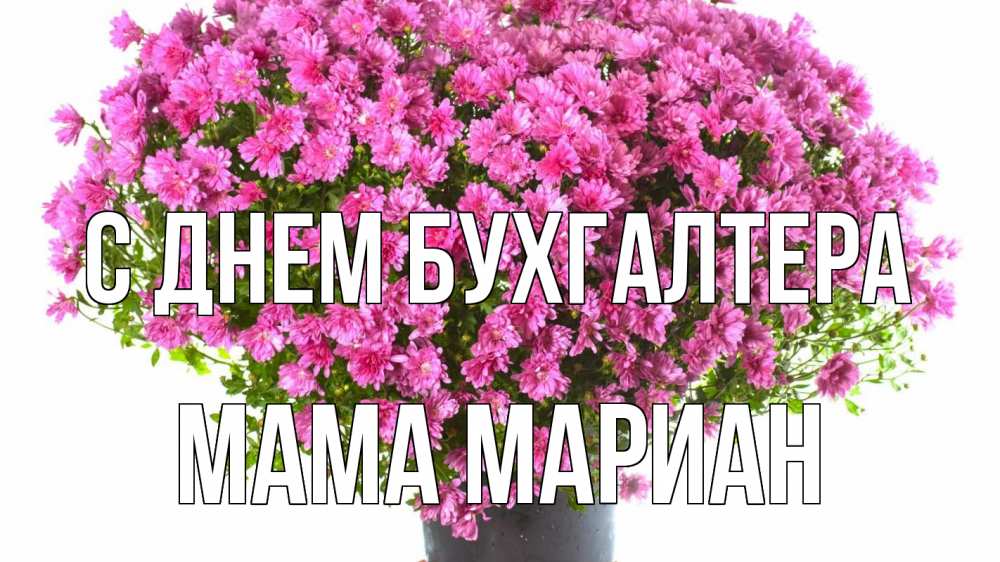 Открытка на каждый день с именем, Мама-Мариан С днем бухгалтера с днем бухгалтера Прикольная открытка с пожеланием онлайн скачать бесплатно 
