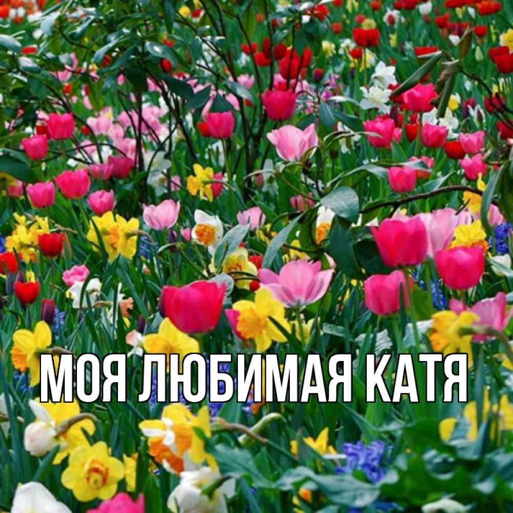 Открытка на каждый день с именем, Моя-любимая-Катя Главная с наурызом праздником весны поздравления для женщины Прикольная открытка с пожеланием онлайн скачать бесплатно 