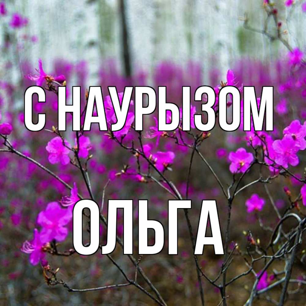 Открытка на каждый день с именем, Ольга С наурызом дикие цветы Прикольная открытка с пожеланием онлайн скачать бесплатно 