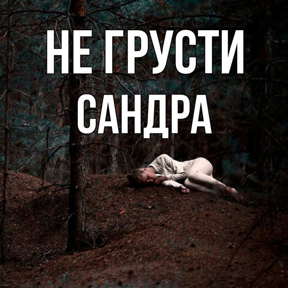 Открытка на каждый день с именем, Сандра Не грусти лес Прикольная открытка с пожеланием онлайн скачать бесплатно 