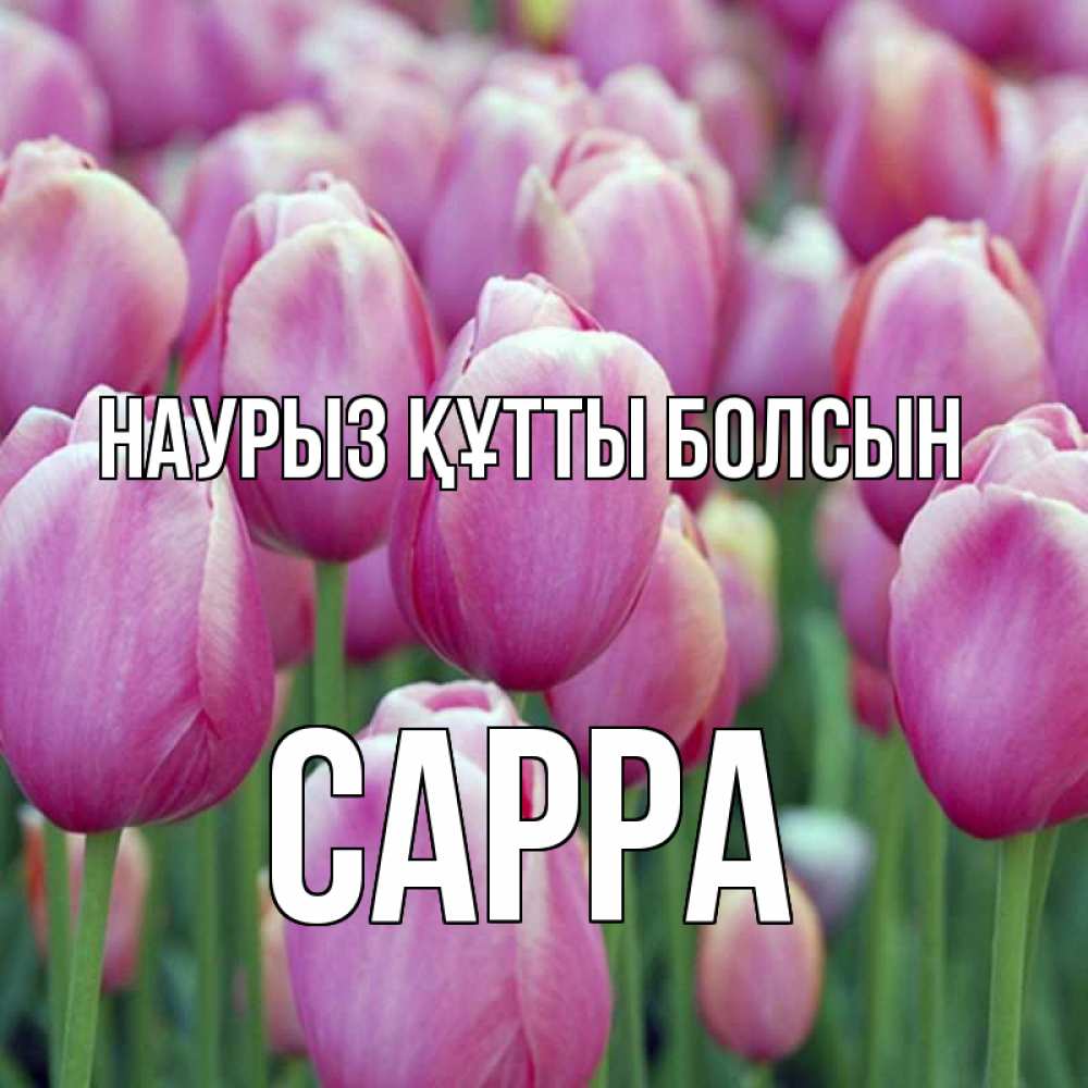 Открытка на каждый день с именем, Сарра Наурыз құтты болсын на наурыз  день 3 Прикольная открытка с пожеланием онлайн скачать бесплатно 