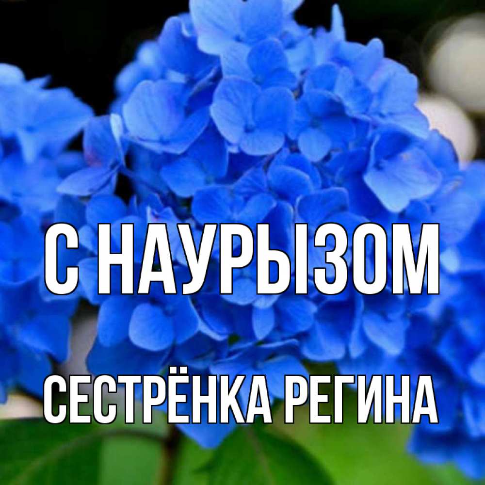 Открытка на каждый день с именем, Сестрёнка-Регина С наурызом синие цветы Прикольная открытка с пожеланием онлайн скачать бесплатно 
