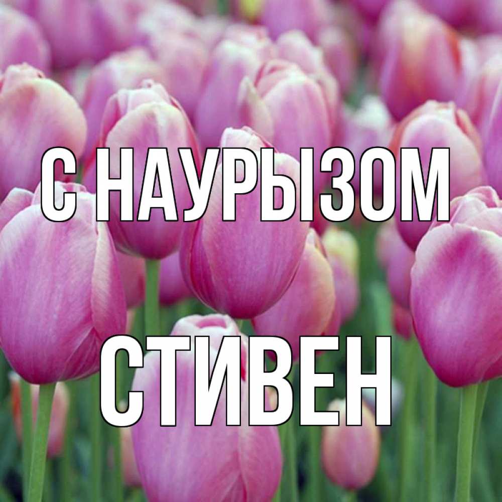 Открытка на каждый день с именем, Стивен С наурызом праздник весны наурыз 69 Прикольная открытка с пожеланием онлайн скачать бесплатно 