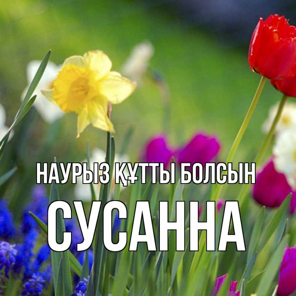 Открытка на каждый день с именем, Сусанна Наурыз құтты болсын наурыз  3 открытки Прикольная открытка с пожеланием онлайн скачать бесплатно 