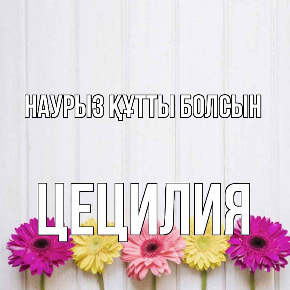 Открытка на каждый день с именем, Цецилия Наурыз құтты болсын женщинам 1 Прикольная открытка с пожеланием онлайн скачать бесплатно 