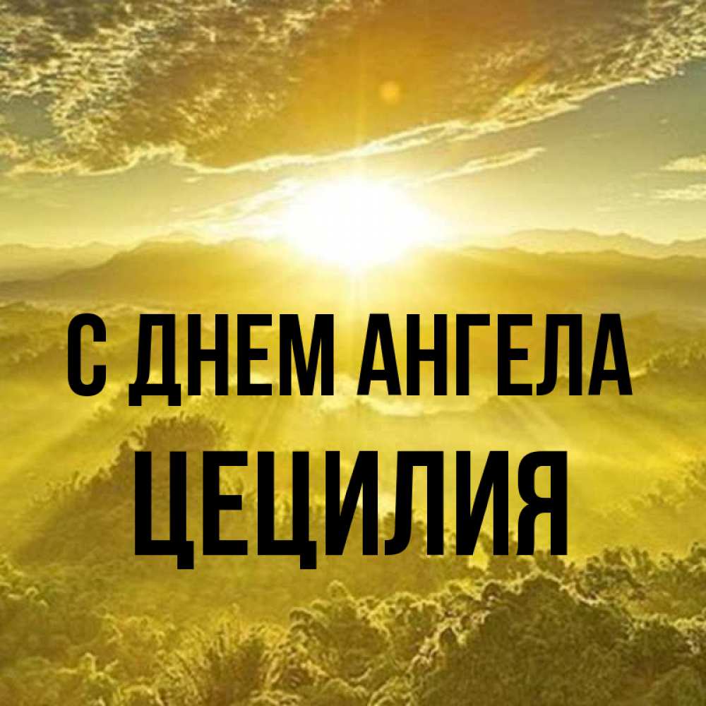 Открытка на каждый день с именем, Цецилия С днем ангела леса и небо в желтом Прикольная открытка с пожеланием онлайн скачать бесплатно 