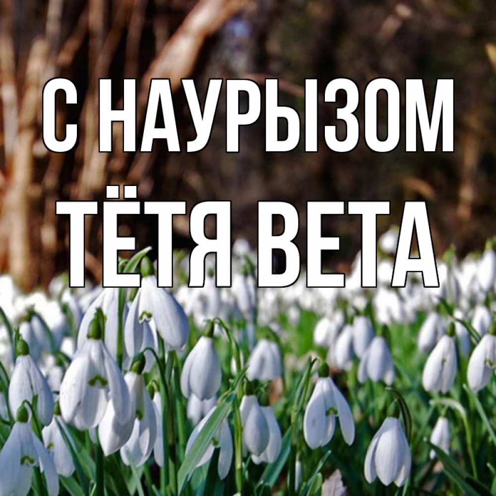 Открытка на каждый день с именем, Тётя-Вета С наурызом с подснежниками 1 Прикольная открытка с пожеланием онлайн скачать бесплатно 