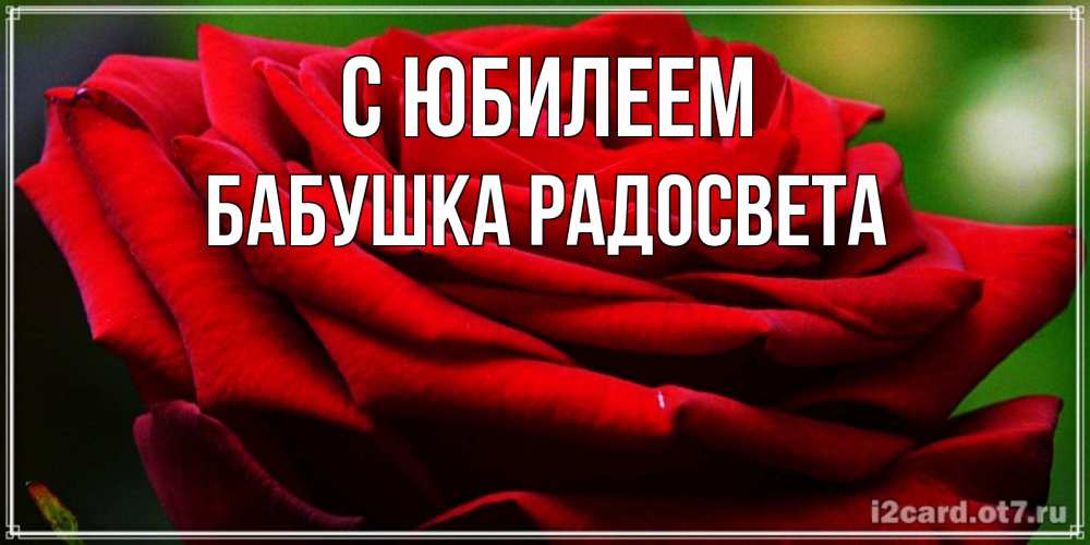 Открытка на каждый день с именем, Бабушка-Радосвета С юбилеем розочка очень красивая Прикольная открытка с пожеланием онлайн скачать бесплатно 
