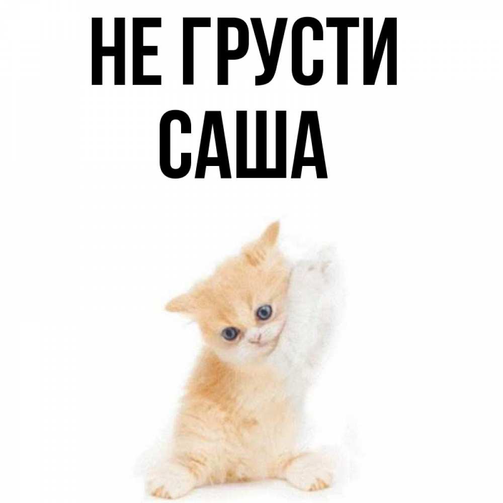 Милый саша