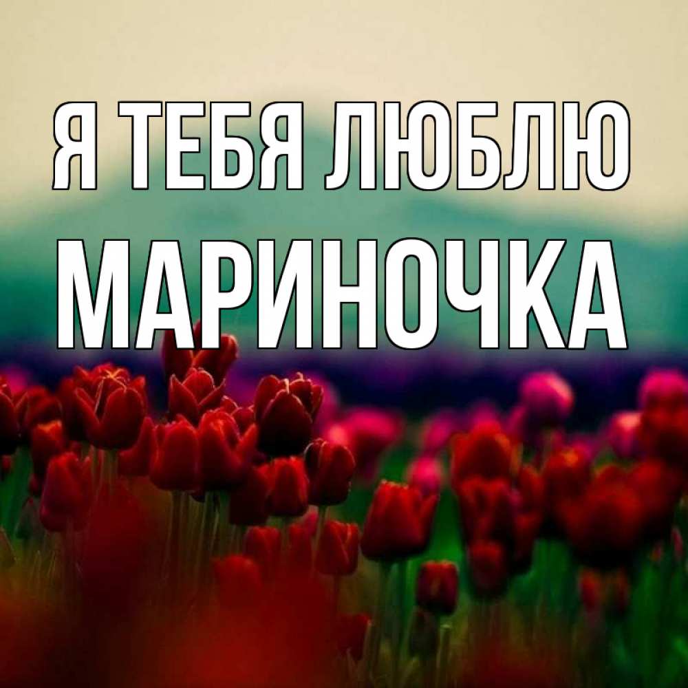 Открытка с именем, МАРИНОЧКА, Я тебя люблю