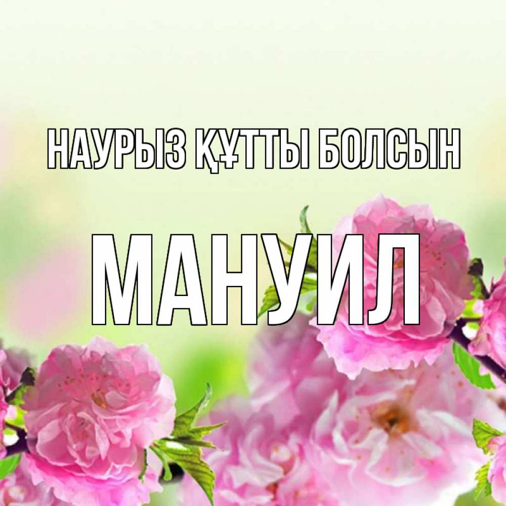 Открытка на каждый день с именем, Мануил Наурыз құтты болсын цветы Прикольная открытка с пожеланием онлайн скачать бесплатно 