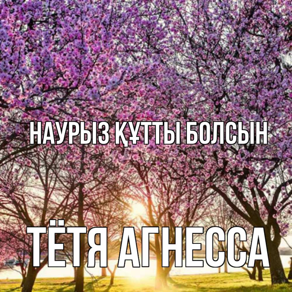 Открытка на каждый день с именем, Тётя-Агнесса Наурыз құтты болсын наурыз Прикольная открытка с пожеланием онлайн скачать бесплатно 