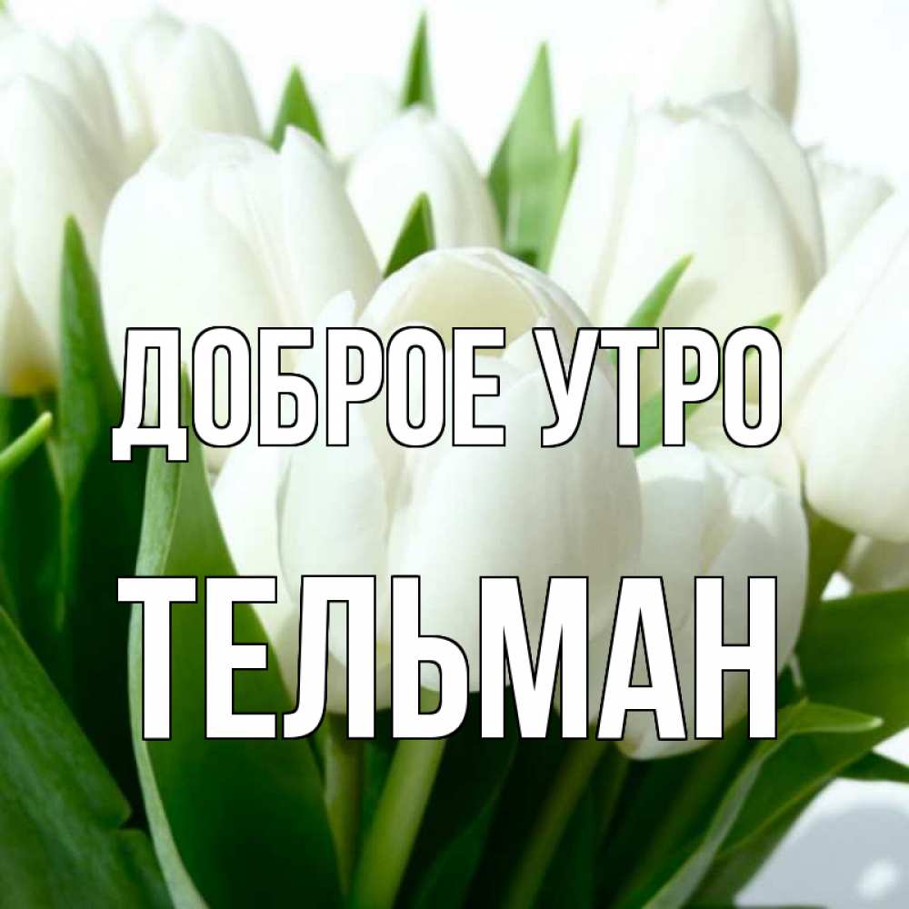 фото с добрым утром танюша красотуля продукция, забранная оплаченная