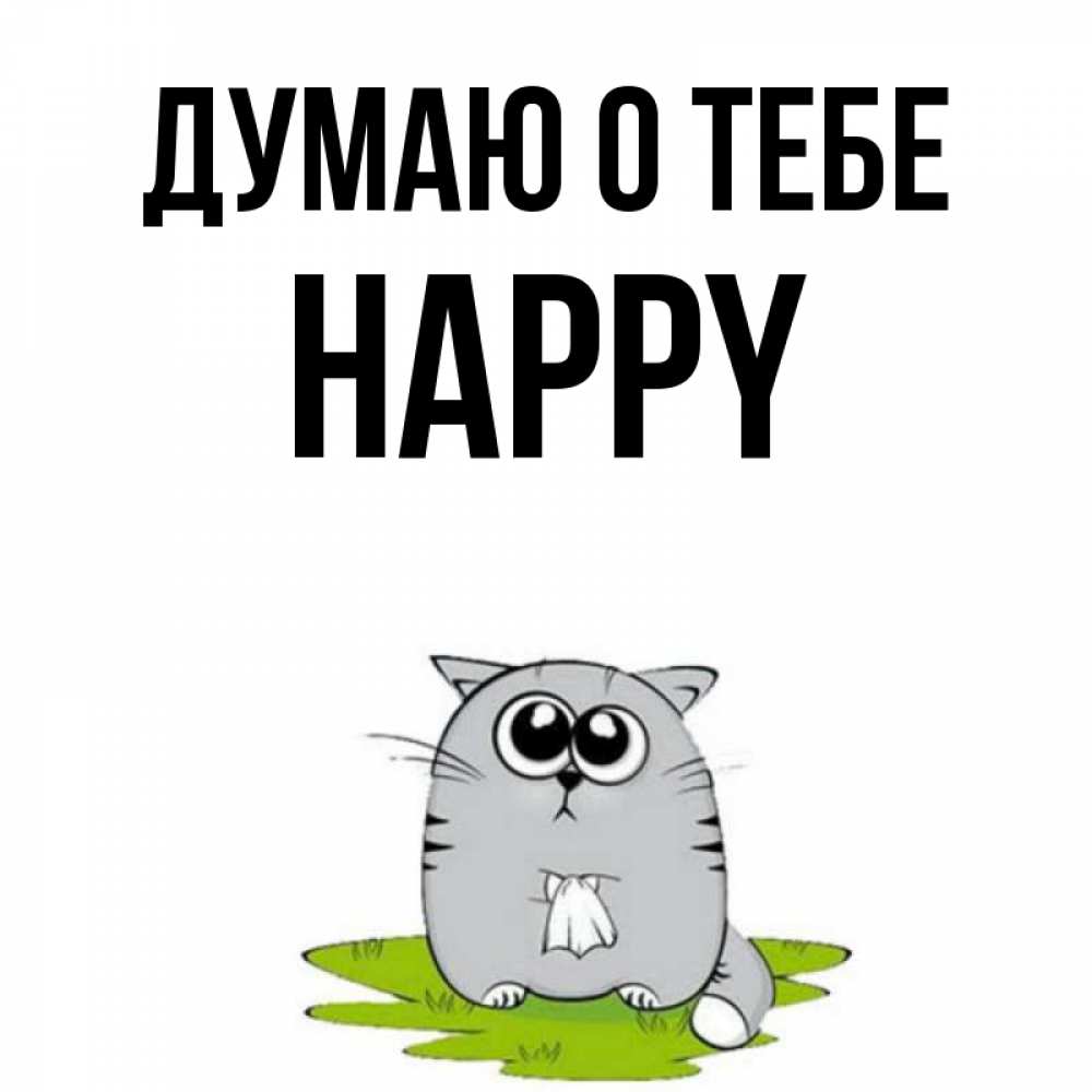 Название хэппи. Кот Happy Happy Happy. Котик Happy Happy Happy. Котик Happy Happy. Кот Хаппи Хаппи Хаппи.