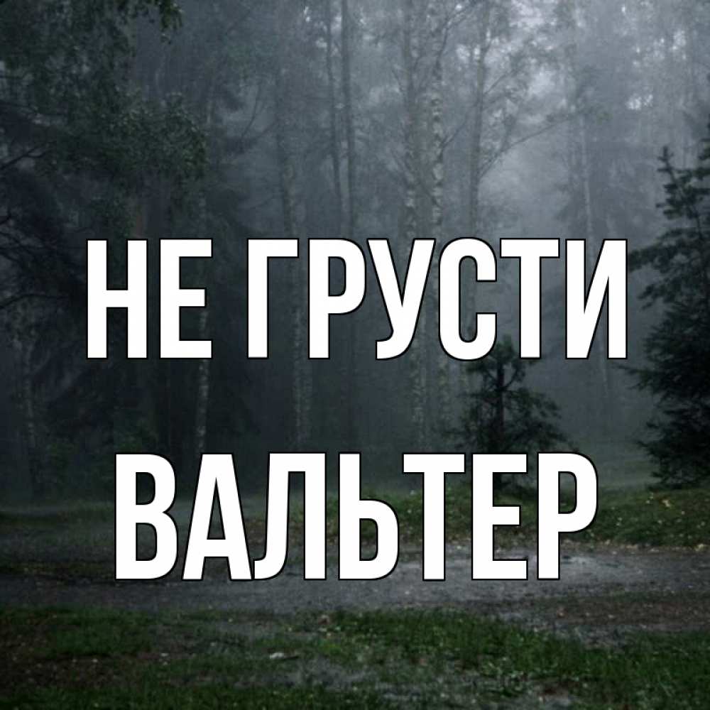 Открытка на каждый день с именем, Вальтер Не грусти осень Прикольная открытка с пожеланием онлайн скачать бесплатно 