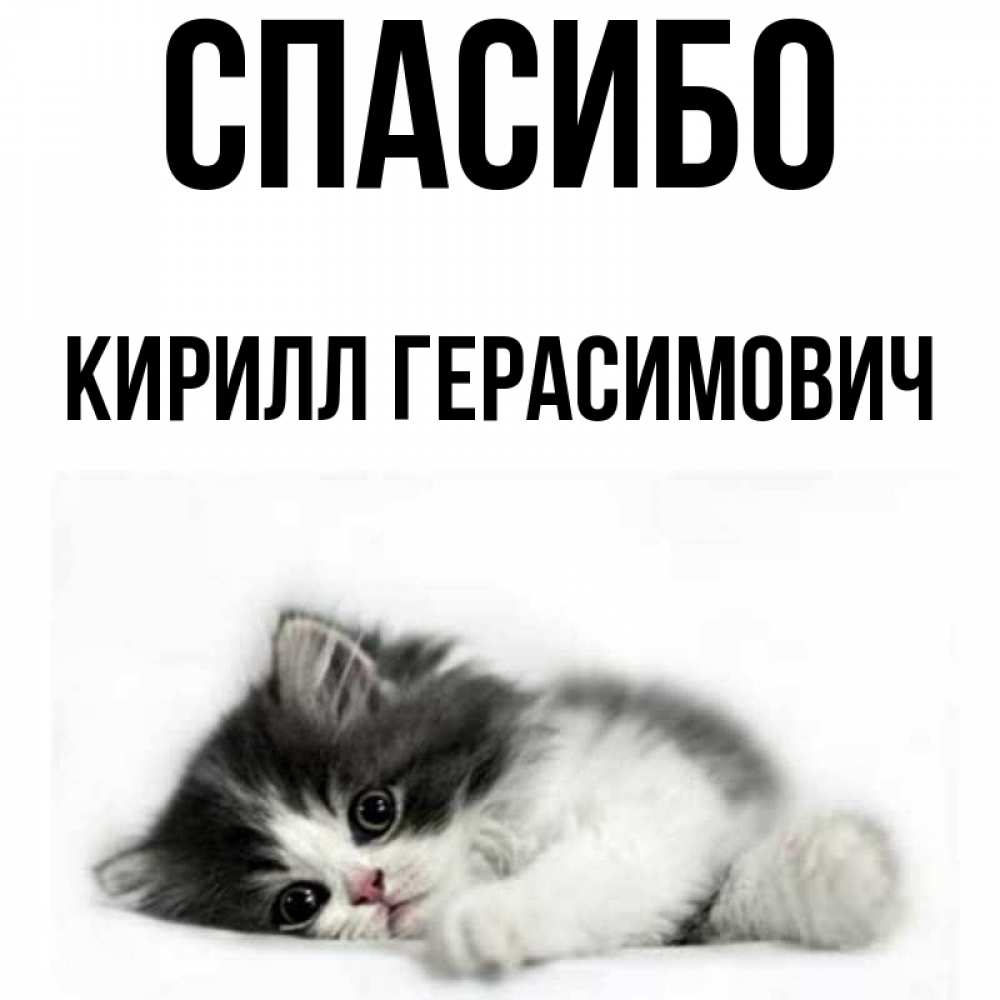 Кирилл С Именинами Картинки