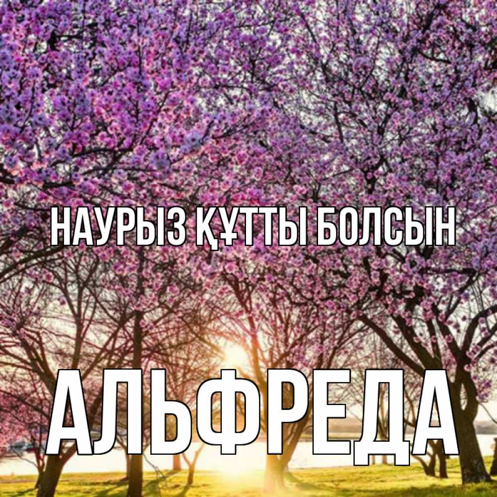 Открытка на каждый день с именем, Альфреда Наурыз құтты болсын наурыз Прикольная открытка с пожеланием онлайн скачать бесплатно 