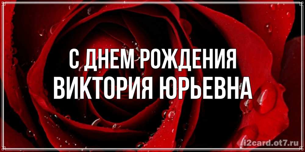 Открытка на каждый день с именем, Виктория-Юрьевна С днем рождения крупная бордовая роза Прикольная открытка с пожеланием онлайн скачать бесплатно 