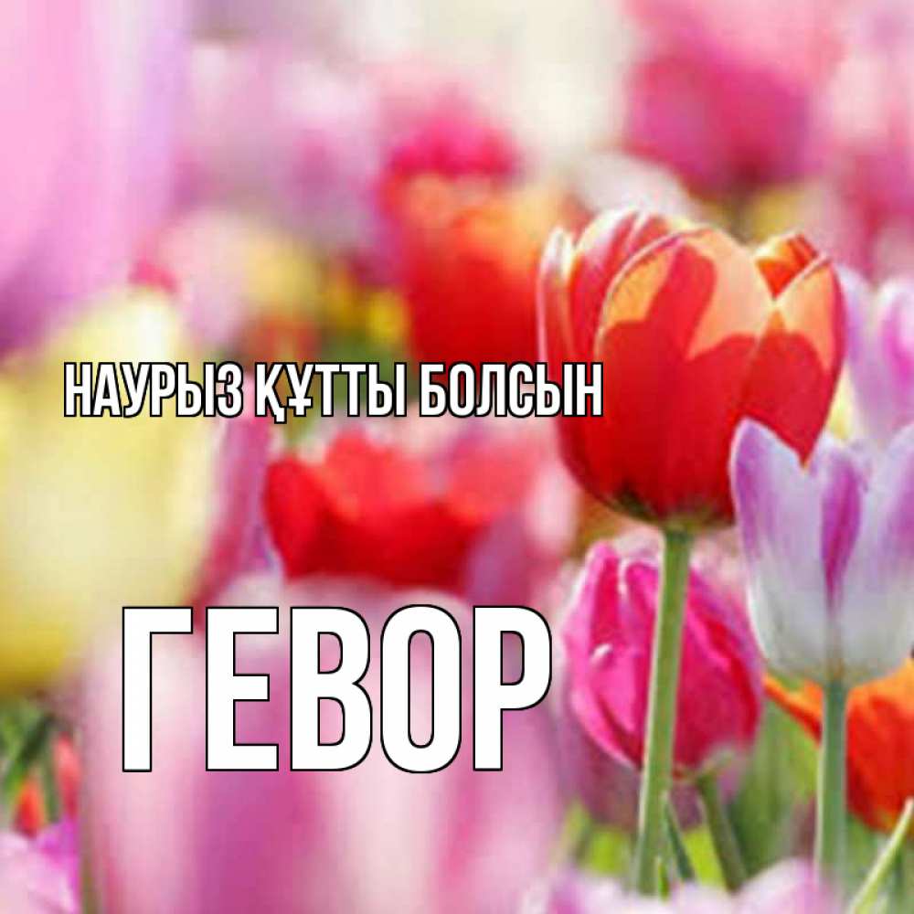 Открытка на каждый день с именем, Гевор Наурыз құтты болсын на наурыз  2 Прикольная открытка с пожеланием онлайн скачать бесплатно 