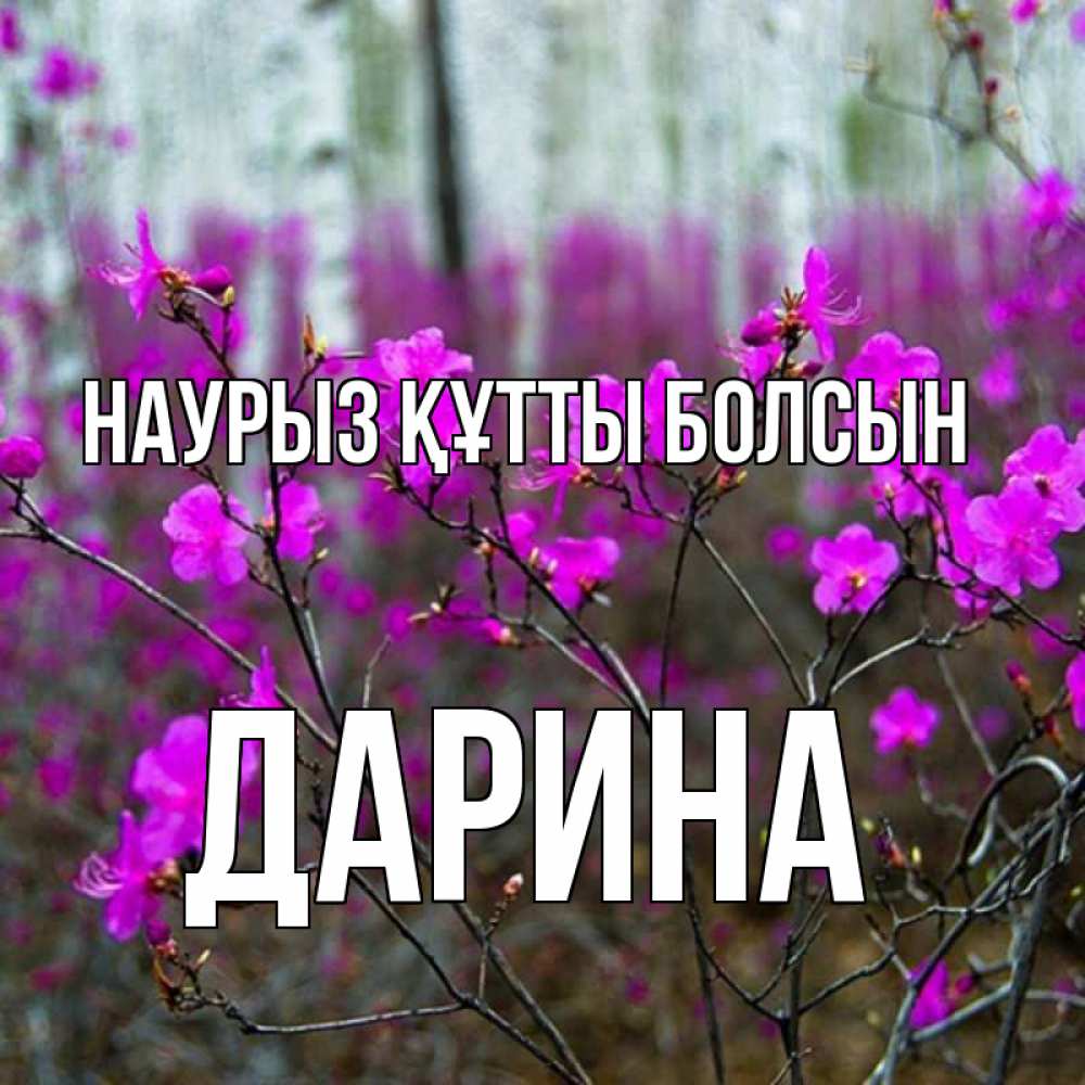Открытка на каждый день с именем, Дарина Наурыз құтты болсын дикие цветы Прикольная открытка с пожеланием онлайн скачать бесплатно 
