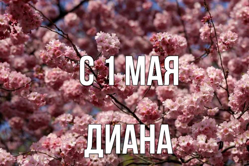 Открытка на каждый день с именем, Диана С 1 мая С 1 мая Прикольная открытка с пожеланием онлайн скачать бесплатно 