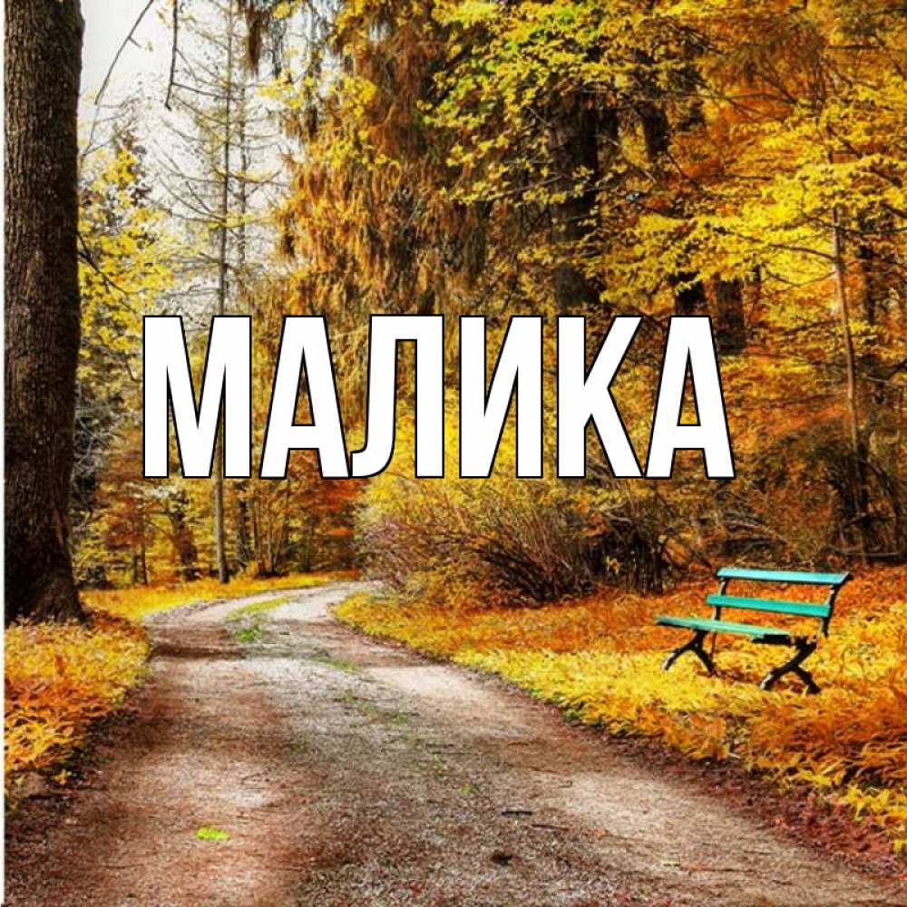 Открытка на каждый день с именем, Малика Главная зеленая лавочка и осенний лес Прикольная открытка с пожеланием онлайн скачать бесплатно 