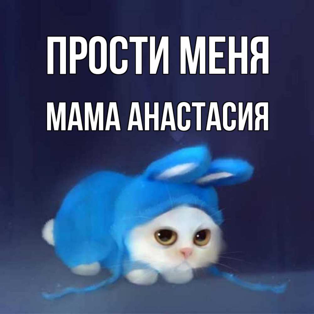 Открытка на каждый день с именем, Мама-Анастасия Прости меня невинный котозай просит прощения Прикольная открытка с пожеланием онлайн скачать бесплатно 