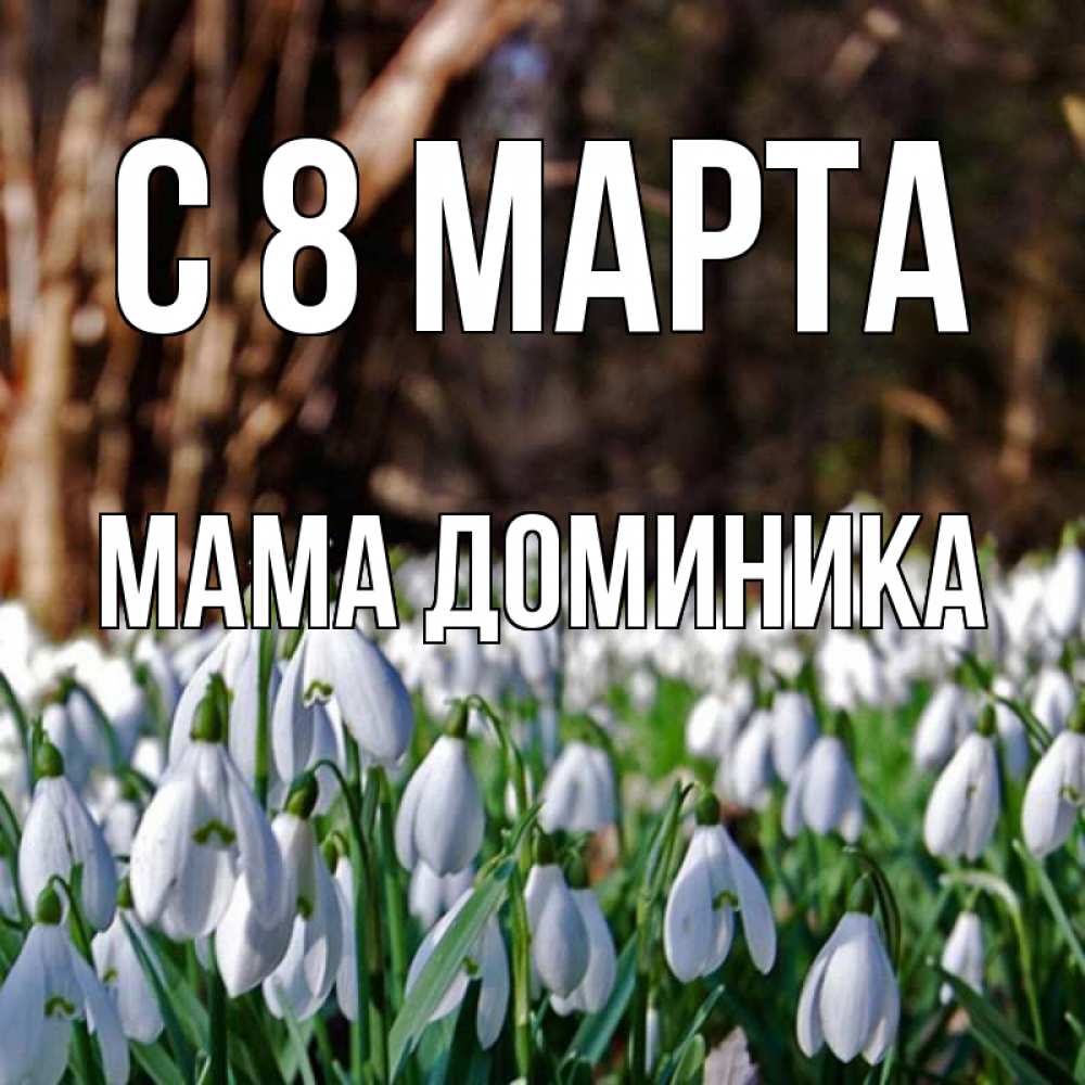 Открытка на каждый день с именем, Мама-Доминика С 8 марта с подснежниками 1 Прикольная открытка с пожеланием онлайн скачать бесплатно 