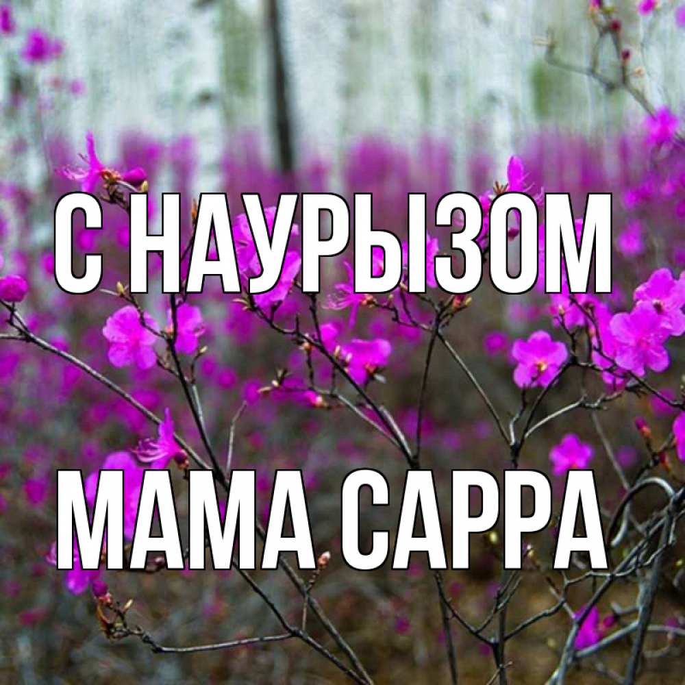 Открытка на каждый день с именем, Мама-Сарра С наурызом дикие цветы Прикольная открытка с пожеланием онлайн скачать бесплатно 