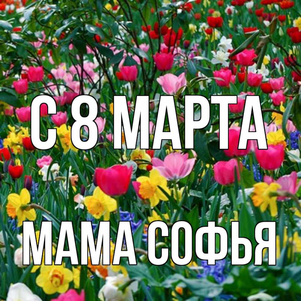 Открытка на каждый день с именем, Мама-Софья С 8 МАРТА с международным женским днем поздравления для женщины Прикольная открытка с пожеланием онлайн скачать бесплатно 