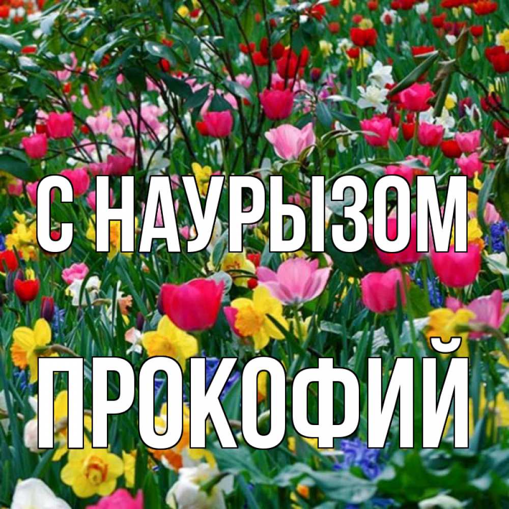 Открытка на каждый день с именем, Прокофий С наурызом с наурызом праздником весны поздравления для женщины Прикольная открытка с пожеланием онлайн скачать бесплатно 
