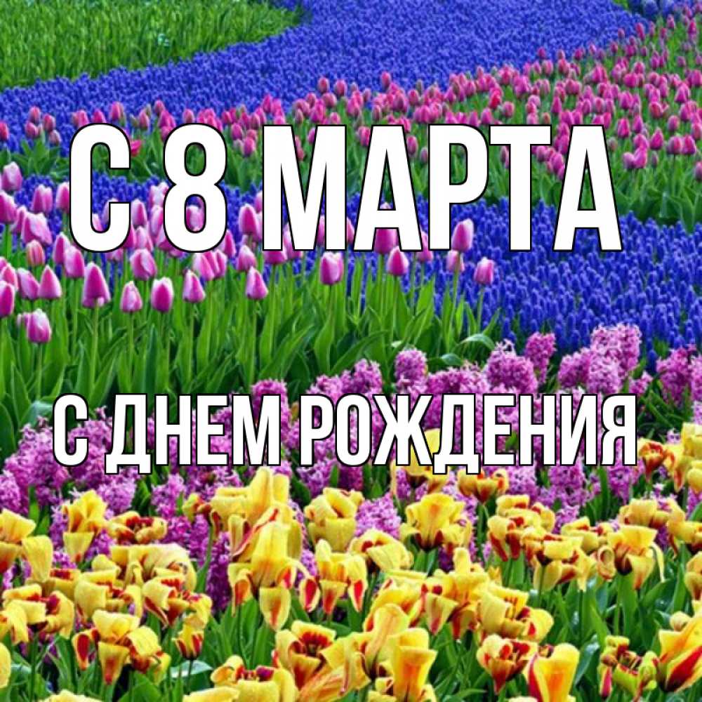Открытка на каждый день с именем, С-днем-рождения С 8 марта цветы Прикольная открытка с пожеланием онлайн скачать бесплатно 
