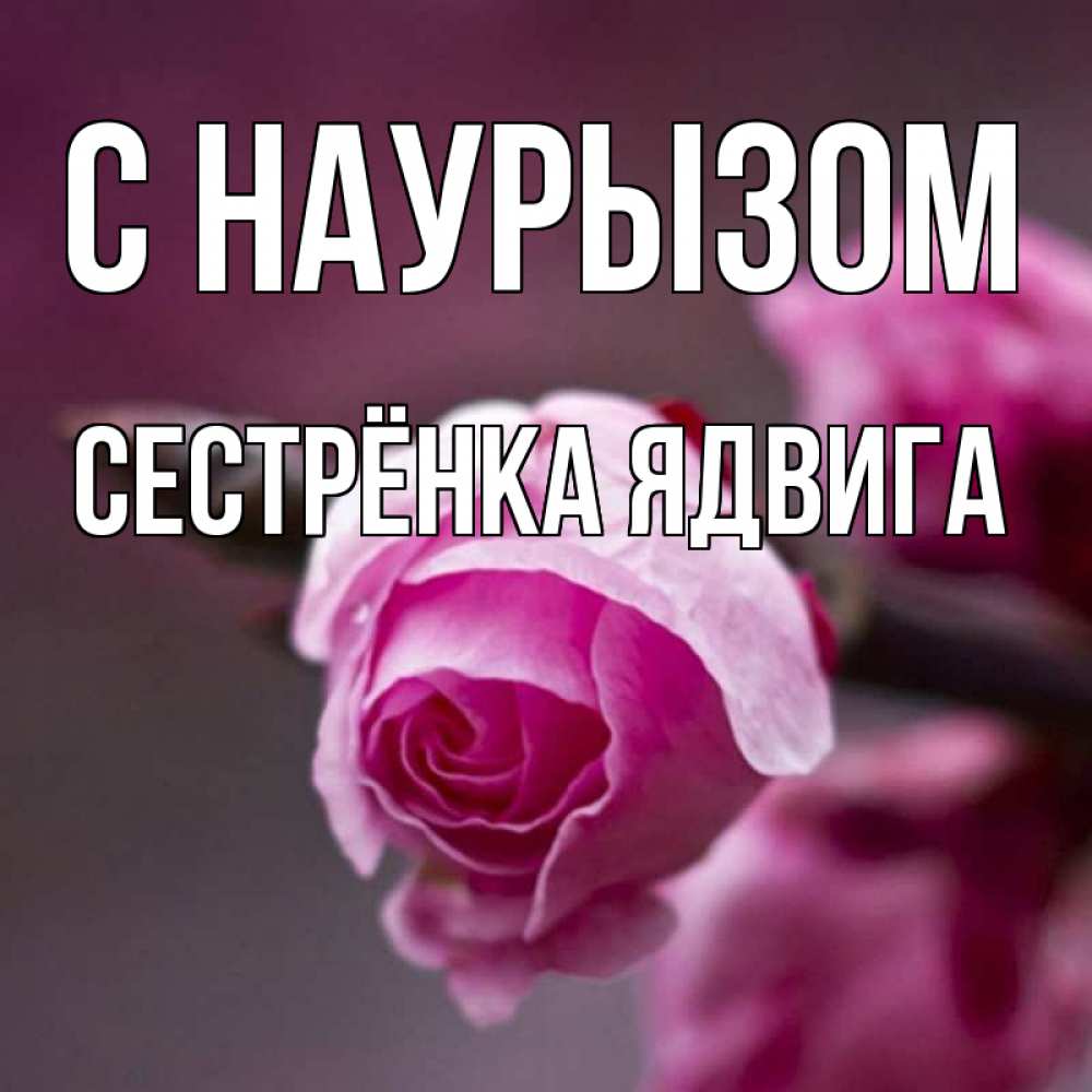 Открытка на каждый день с именем, Сестрёнка-Ядвига С наурызом весна Прикольная открытка с пожеланием онлайн скачать бесплатно 