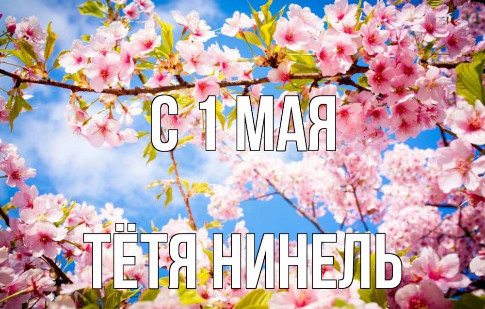 Открытка на каждый день с именем, Тётя-Нинель С 1 мая С 1 мая Прикольная открытка с пожеланием онлайн скачать бесплатно 